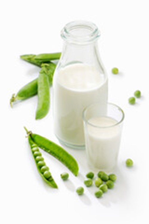 You are currently viewing Pisane®, pea protein by COSUCRA