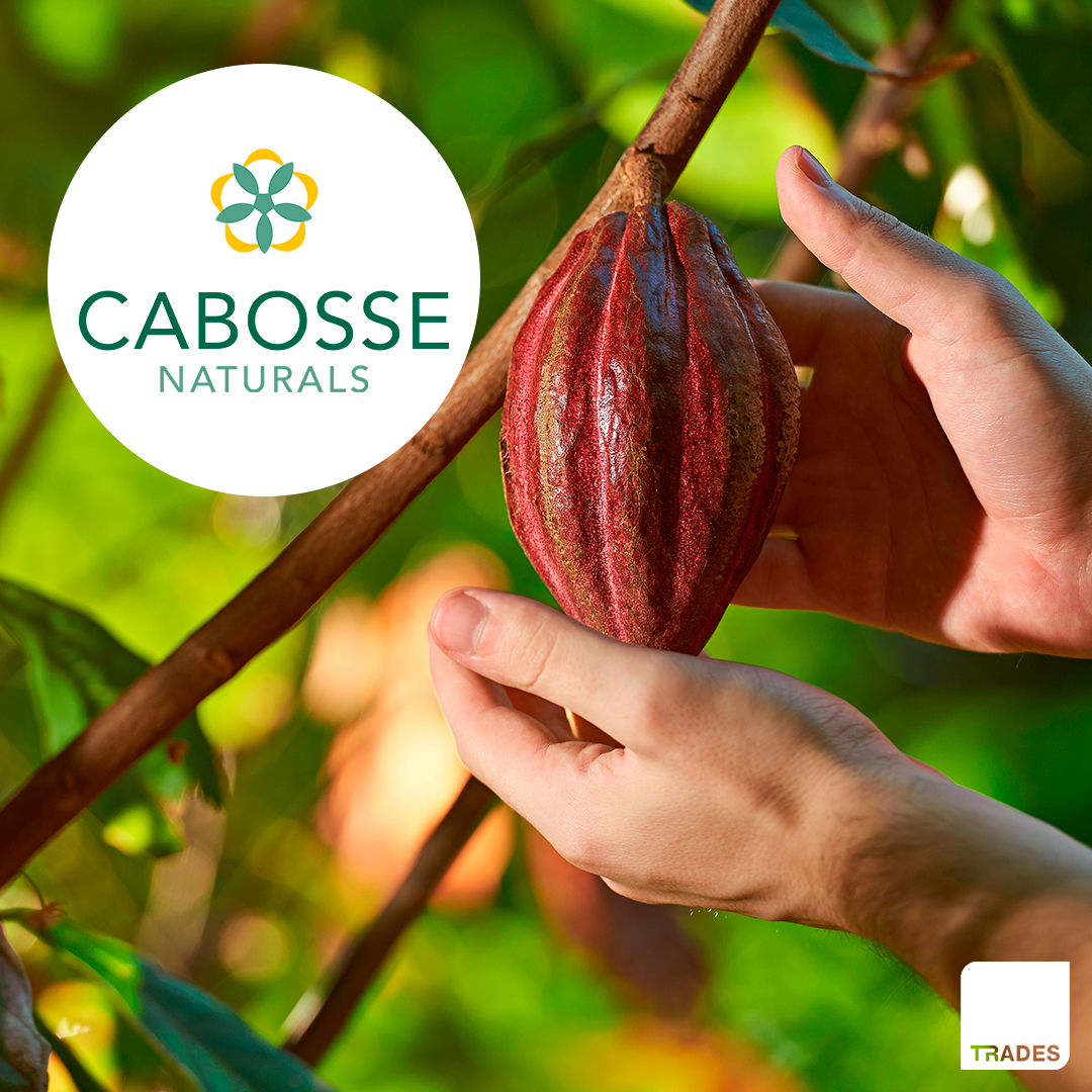 You are currently viewing CABOSSE NATURALS by TRADES