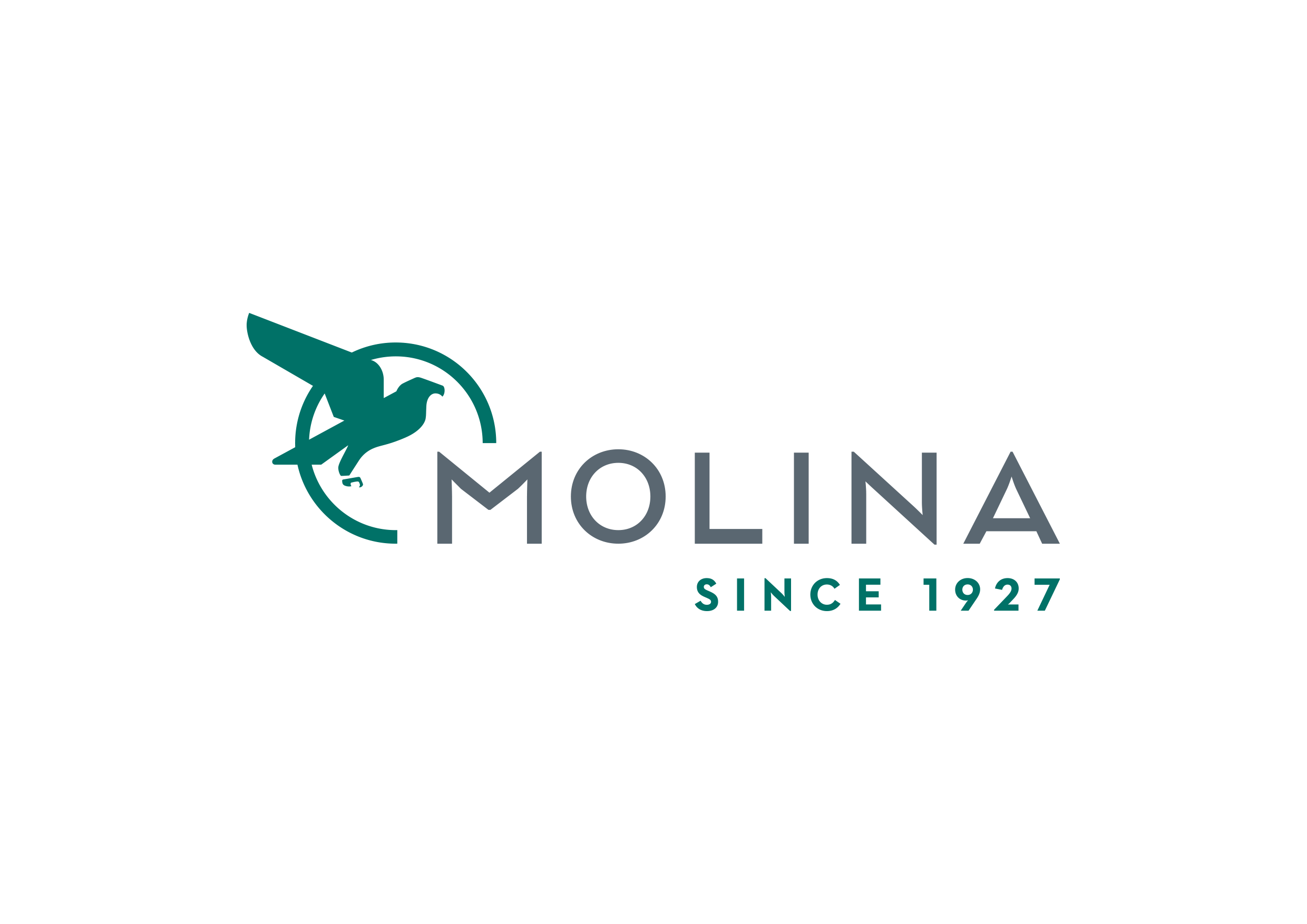 MOLINA COLOR_ImprovingLives