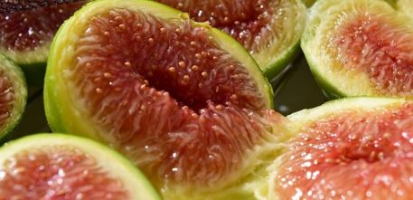 Read more about the article ABAlife®: FIG EXTRACT