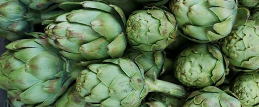 Read more about the article CYNAMED®: ARTICHOKE EXTRACT