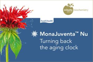 Read more about the article MONAJUVENTA NU