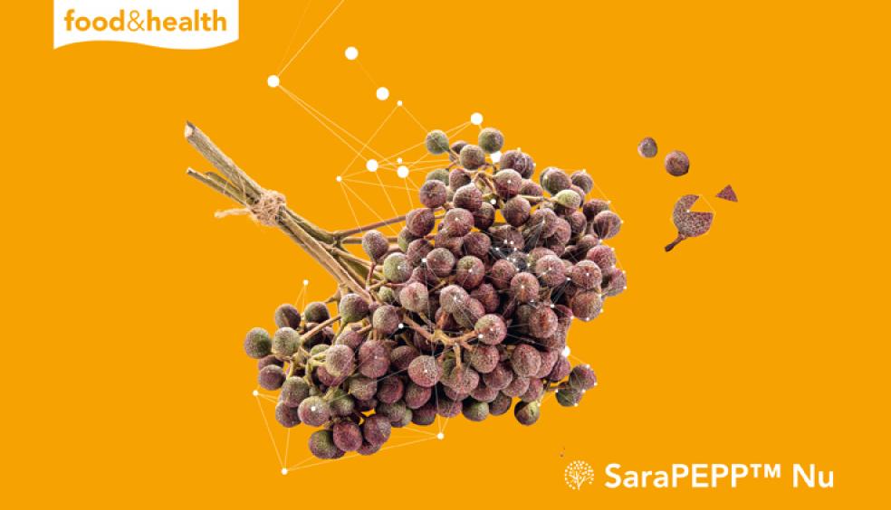 Read more about the article SaraPEPP Nu