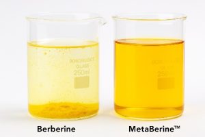 Lee más sobre el artículo Inquiorama, tres ingredientes innovadores para la salud metabólica, nutricosmética y bienestar