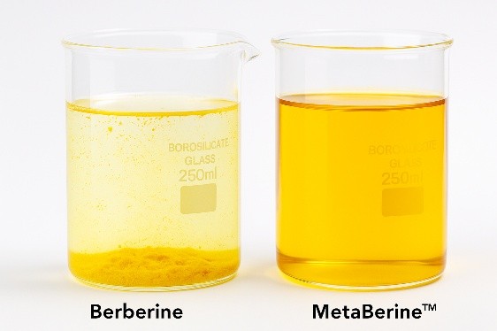 En este momento estás viendo Inquiorama, tres ingredientes innovadores para la salud metabólica, nutricosmética y bienestar